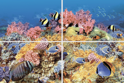 Панно Terracotta Alba Reef-1 40x60 см (4 шт.)