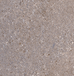 Напольная плитка Primavera Алькон коричневый 41х41 см